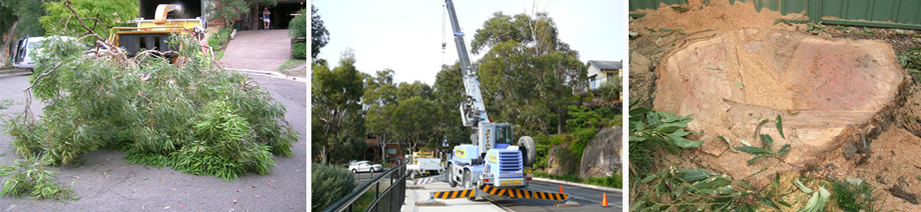 Ultimate Arbor Solutions